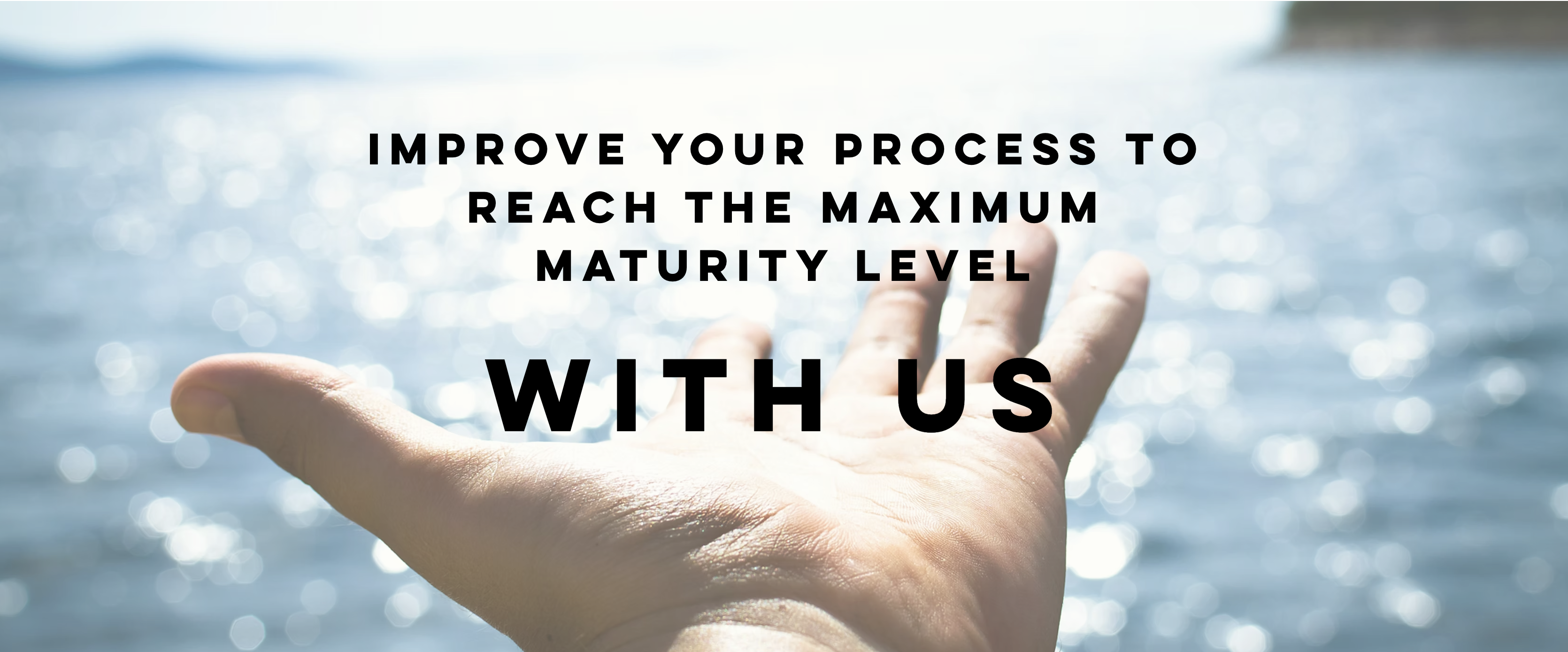 Process Excellence and Maturity Improvement